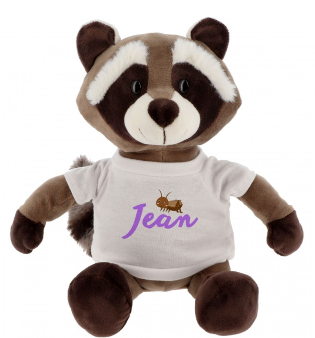 Peluche Raton-Laveur + T-shirt blanc - Hauteur 23cm